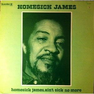 Ain't Sick No More - Homesick James Williamson
